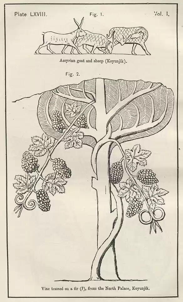 plate068